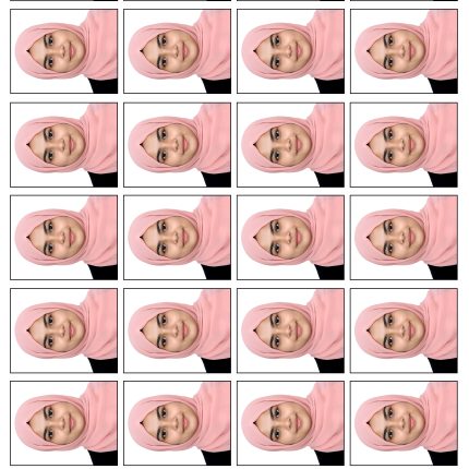 Passport Size Photo